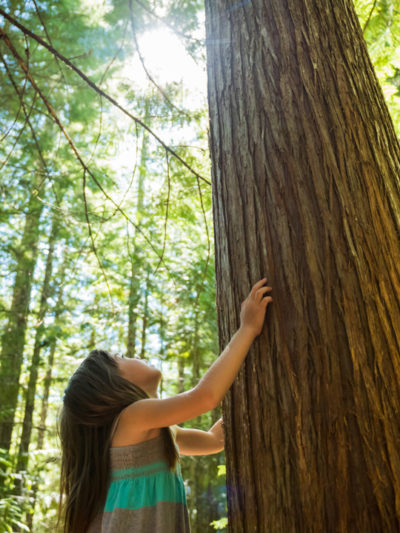 DIFFUSELLE RESPIRATOIRE* BIO : Oxygénant, Senteur d’eucalyptus et pinède