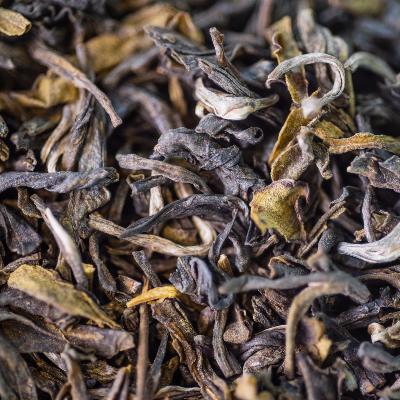 Thé vert Bio 1er choix Vietnam