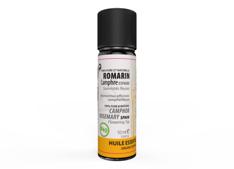 ROMARIN A CAMPHRE Rameaux Espagne * ROMARIN A CAMPHRE Rameaux Espagne *