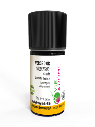 VERGE D'OR Sommités fleuries Canada *