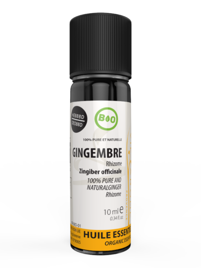 GINGEMBRE Rhizomes Sri Lanka 10 ml