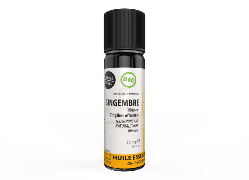 GINGEMBRE Rhizomes Sri Lanka 10 ml GINGEMBRE Rhizomes Sri Lanka 10 ml