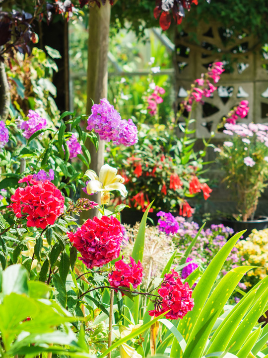 VieArome-Diffuselle-jardin-d-ete-10ml-04