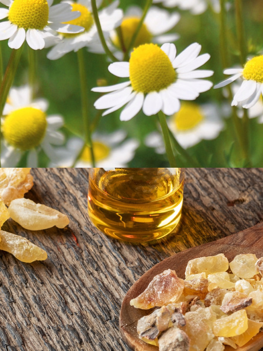 VieArome-NeuroAroma-Scent-Huile-Massage-Lacher-Prise-Emotionnel-100ml-04 Camomille romaine Encens Oliban Bio Huile de massage Lâcher prise Emotionnel