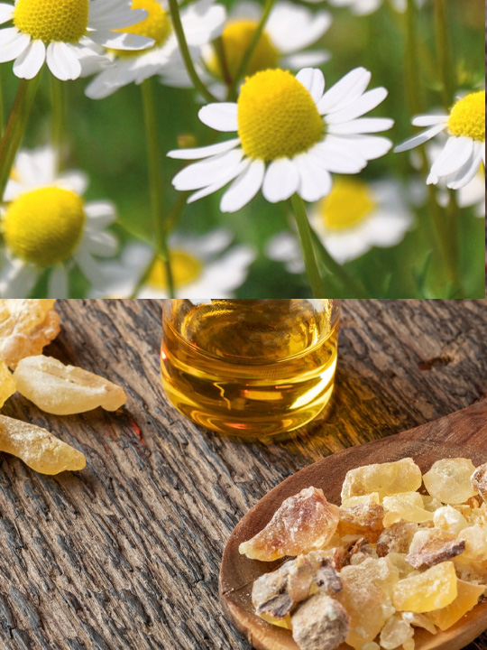 VieArome-NeuroAroma-Scent-Roll-On-Lacher-Prise-Emotionnel-10ml-04 Lâcher prise émotionnel Vie Arôme