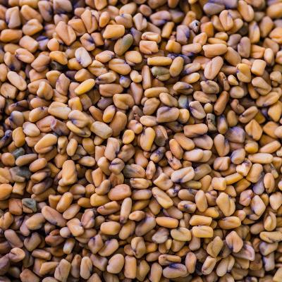 Fénugrec Bio Semence