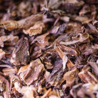 Pissenlit Bio Racine