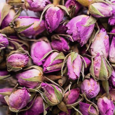 Rose de Damas Bio Bouton