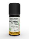 CAROTTE SAUVAGE Semences France 2 ml