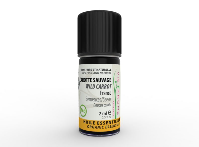 CAROTTE SAUVAGE Semences France 2 ml