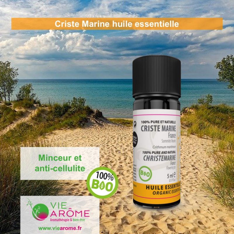 CRISTE MARINE Parties Aériennes Fructifiées Corse *